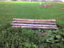 Bild 0159.jpg (62167 Byte)