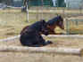 P1050582Febr09.jpg (311914 Byte)