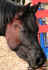 Santana5.jpg (46309 Byte)