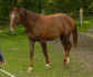donovan-sept.10-2.jpg (26212 Byte)