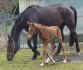 donovanuwesley0309.jpg (120103 Byte)
