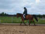 gazzi-reiten.jpg (49867 Byte)