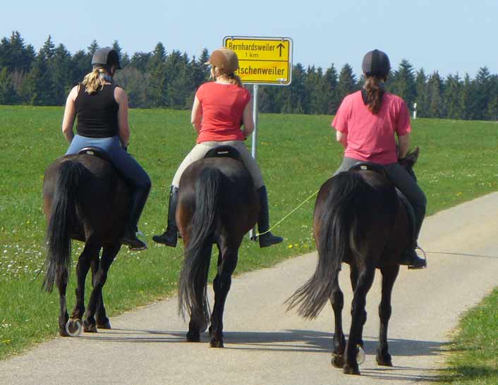 Bayern reiterhof Reiterhof Schober