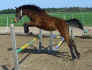 ragtime-sprung.jpg (70897 Byte)