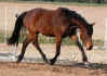 ragtime.1.jpg (87135 Byte)