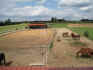 reitplatzundauslauf.jpg (36088 Byte)