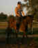 relax-andrea.jpg (34162 Byte)