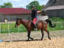 shandorhalsring1.jpg (82531 Byte)